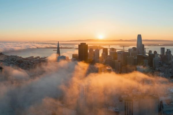The city of San Francisco never ceases to surprise